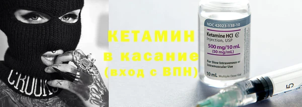 хмурый Аркадак