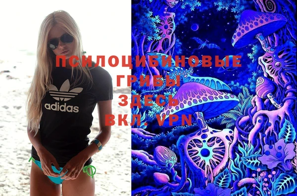 амфетамин Алексин
