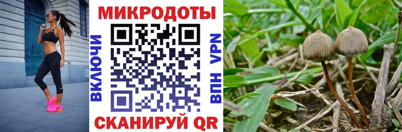 Галлюциногенные грибы прущие грибы  Камышин 